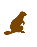 Section Logo