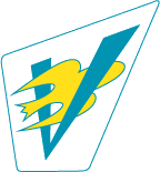 Section Logo